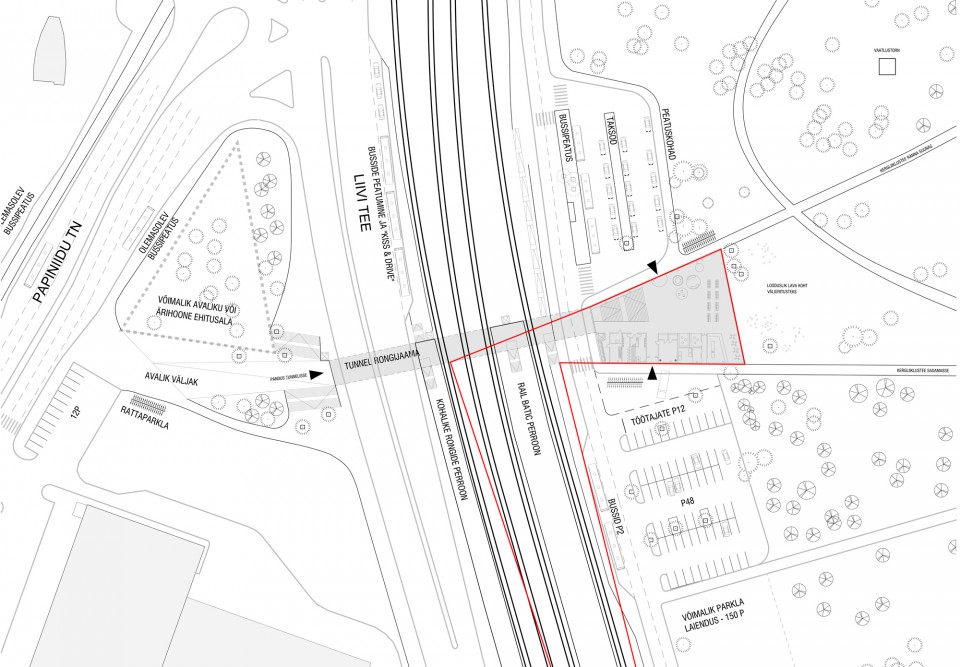 b210_p2rnu_rail-baltic-terminal_siteplan